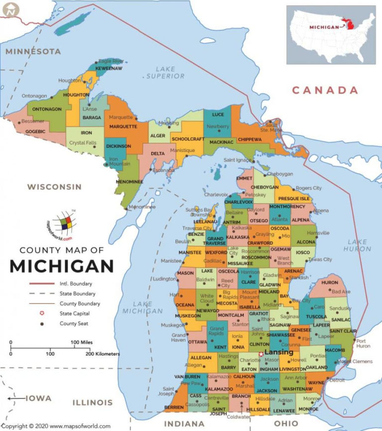 Buy Michigan County Map Printable Map of The United States